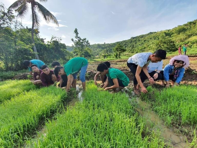 Securing The Future Of Food In The Philippines Standard Chartered