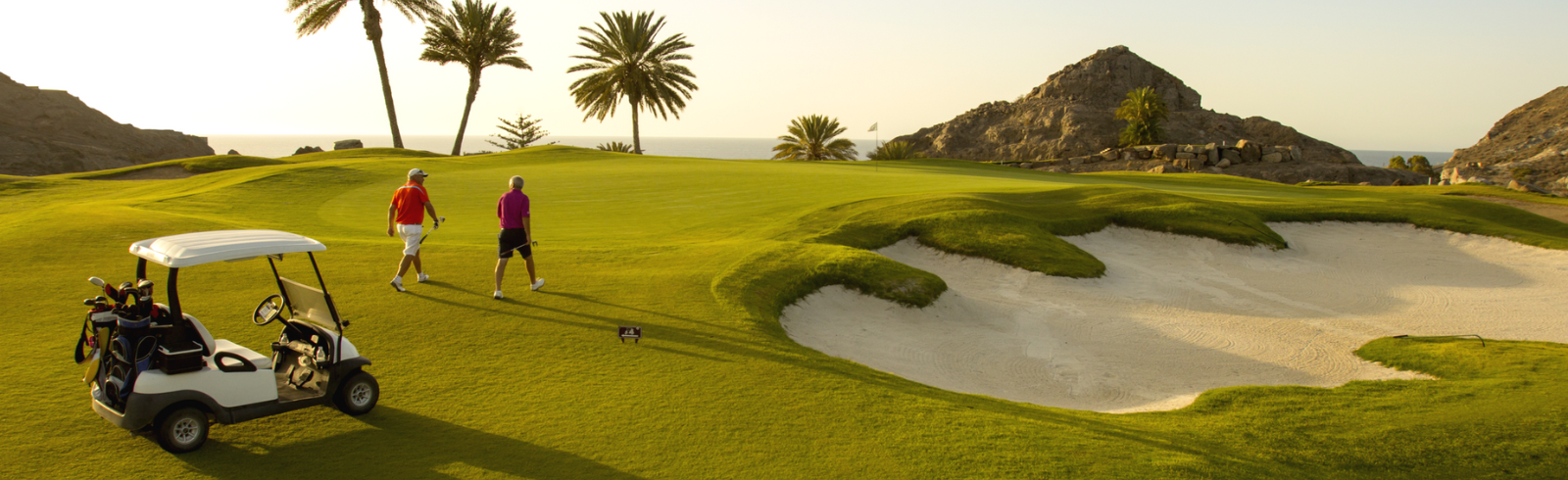 Ae ar golf pp kv xpx