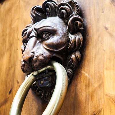 Ae ar luxury door handle x