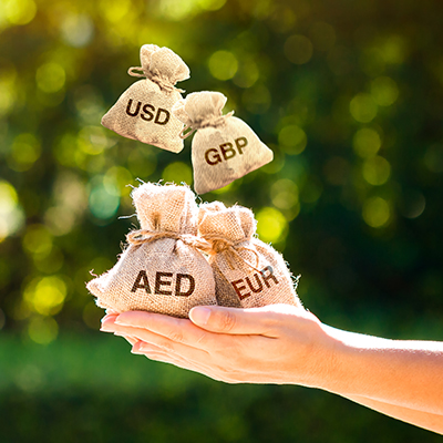 Ae ar mutiple loan currencies