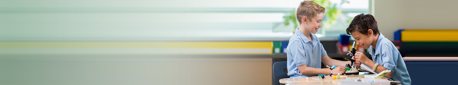 Ae ar banner zurich new