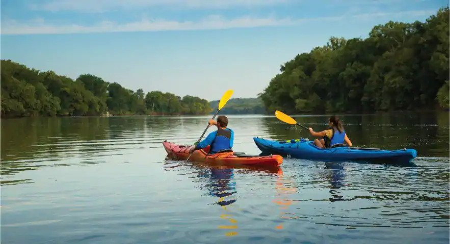 man and woman kayaking in a lake surrounded by trees