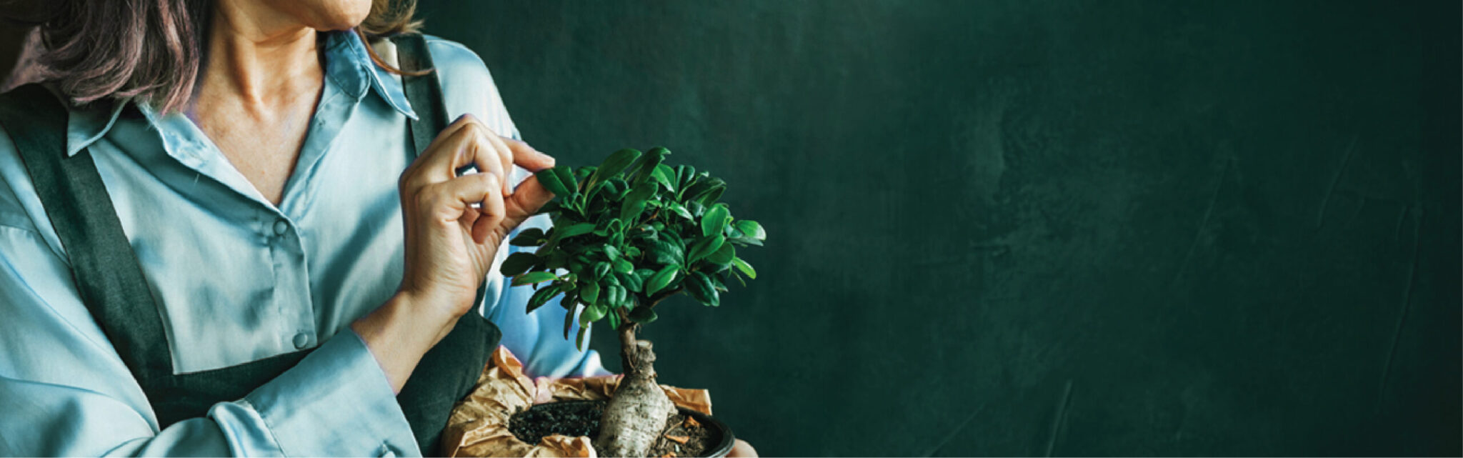 Ae trade fx inline xpx