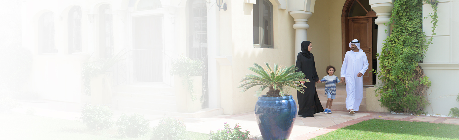 Ae wealth saadiq solutions