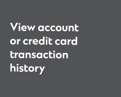 View transaction history