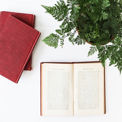 Plant books account safe peace white