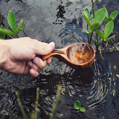 Plant water scoop plant hand