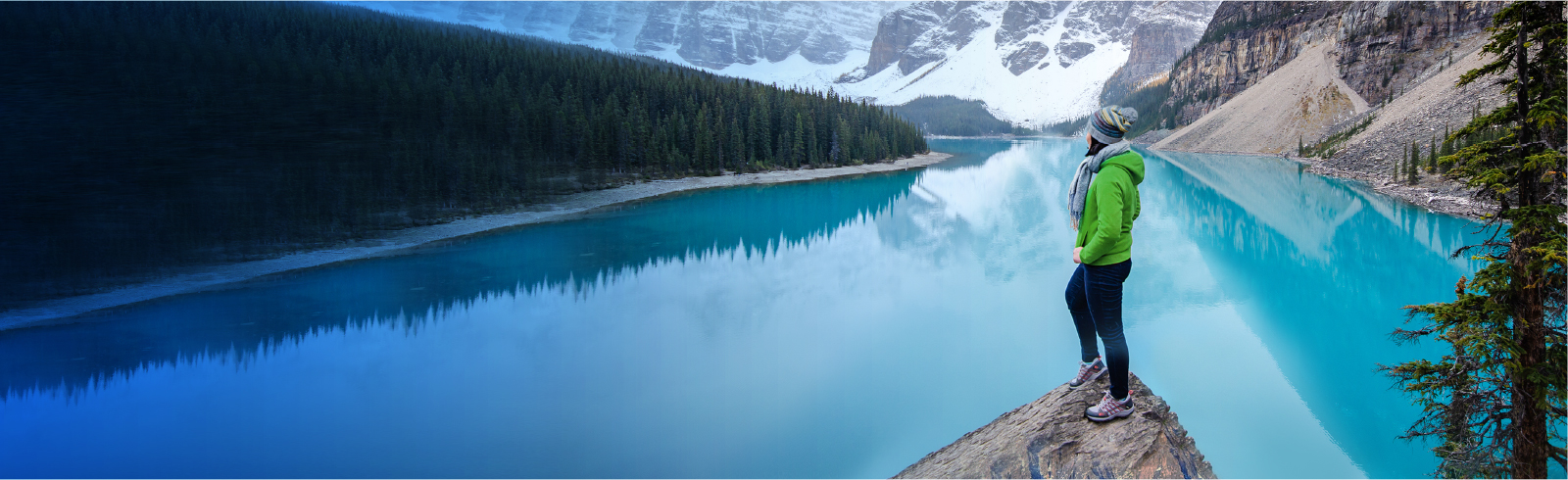 Credit Card and Personal Loan Campaign