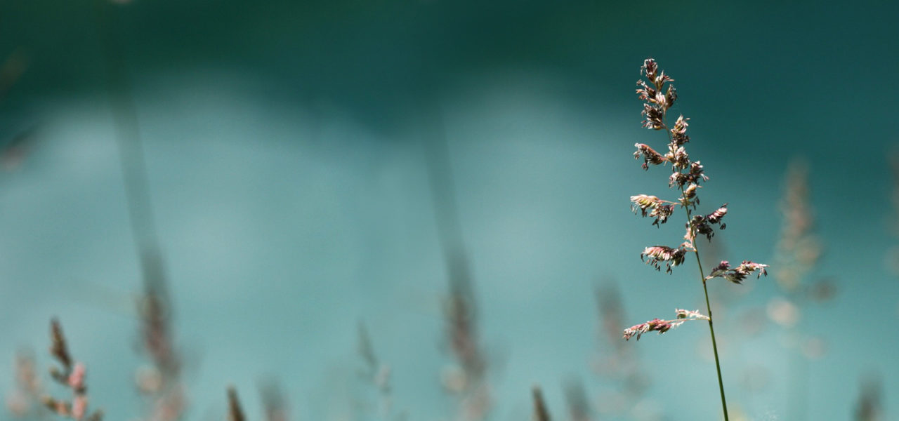 Personal Banking Standard Chartered Botswana