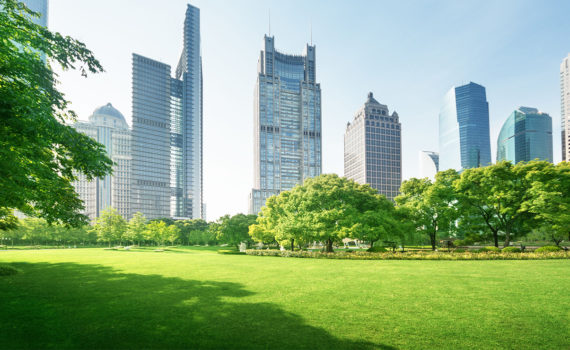Skyscrapers amidst greenery depicting businesses going green