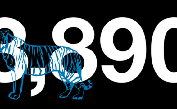 infographic: Illegal wildlife trade