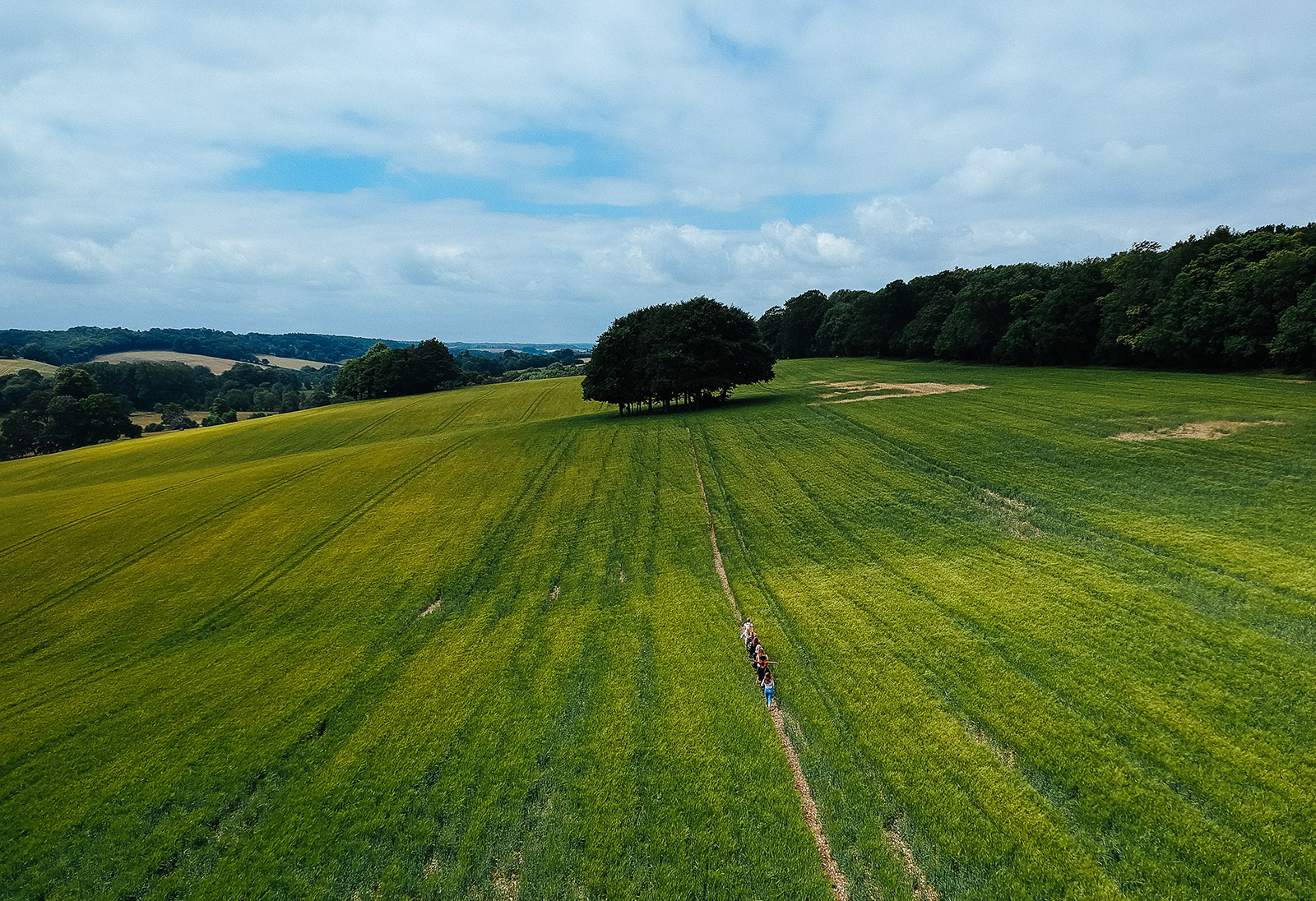 The Sustainable Investing Review 2020