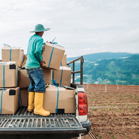A man transports packages on a truck in a field.