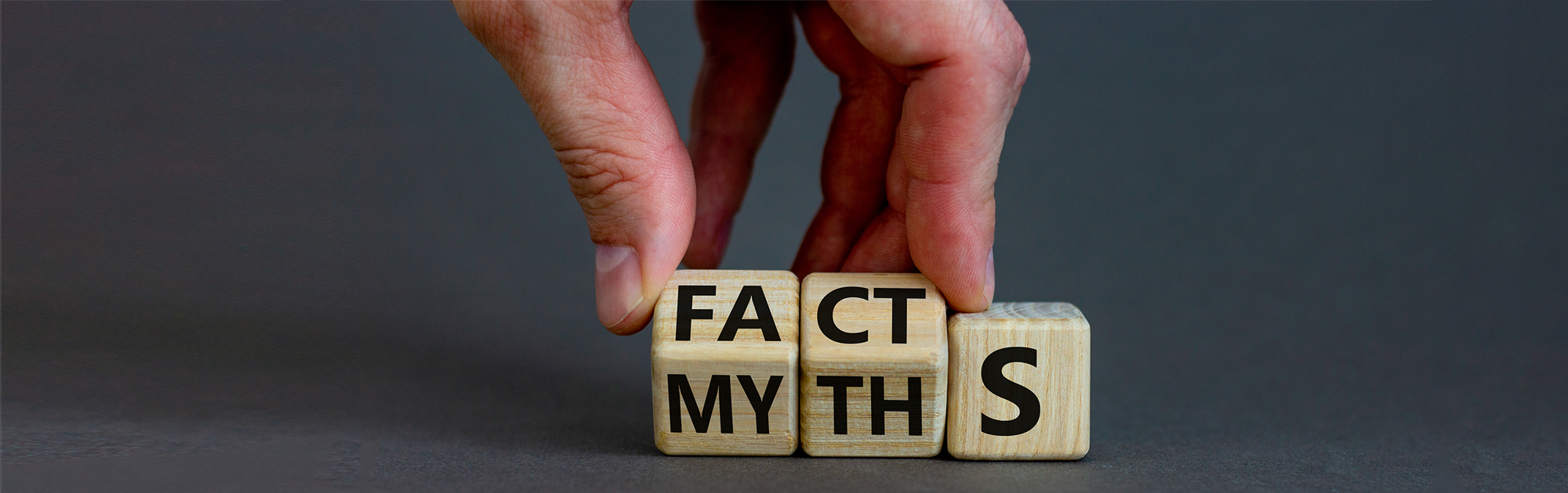 Myth Busting Infographics Most Common Myths Busted 