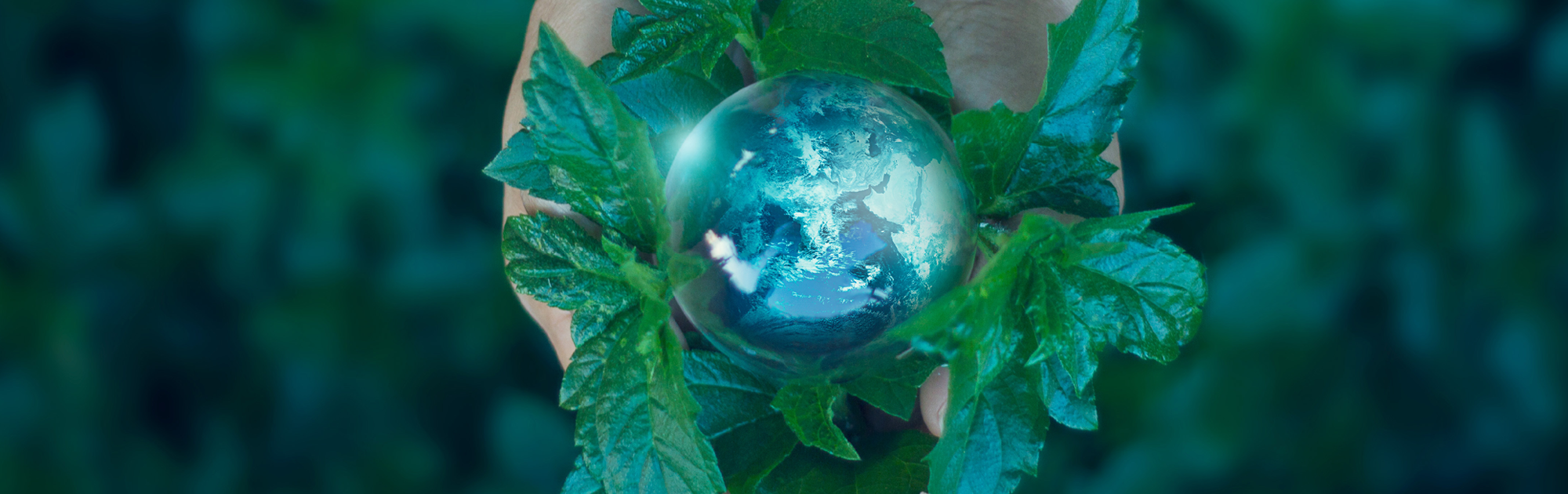 Glass sphere nestled in leaves