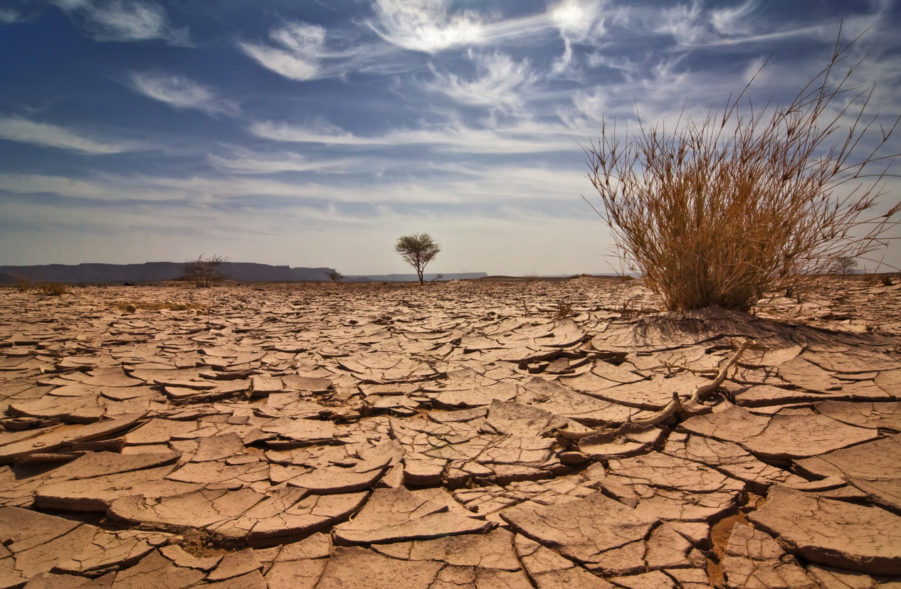 Climate Risk