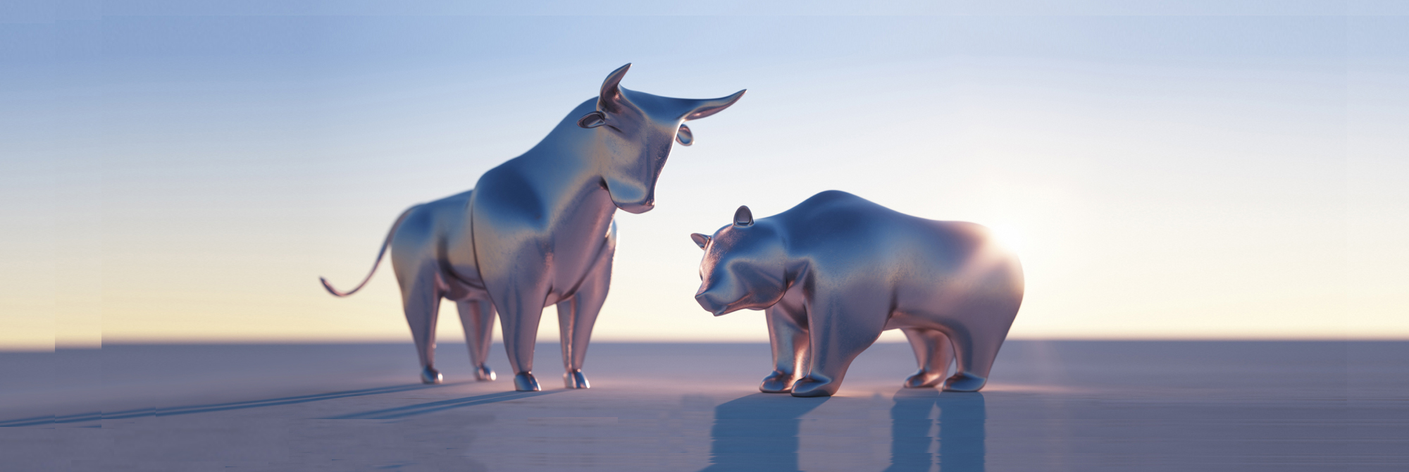 Grow your wealth: The Bull vs Bear debate