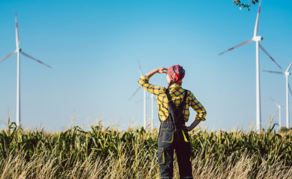 Flannel shirted farmer stands on the edge of cornfield watching turbines