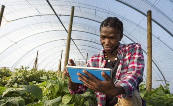 Young African man checking tablet information in greenhouse