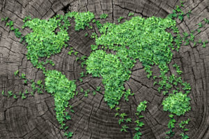 earth