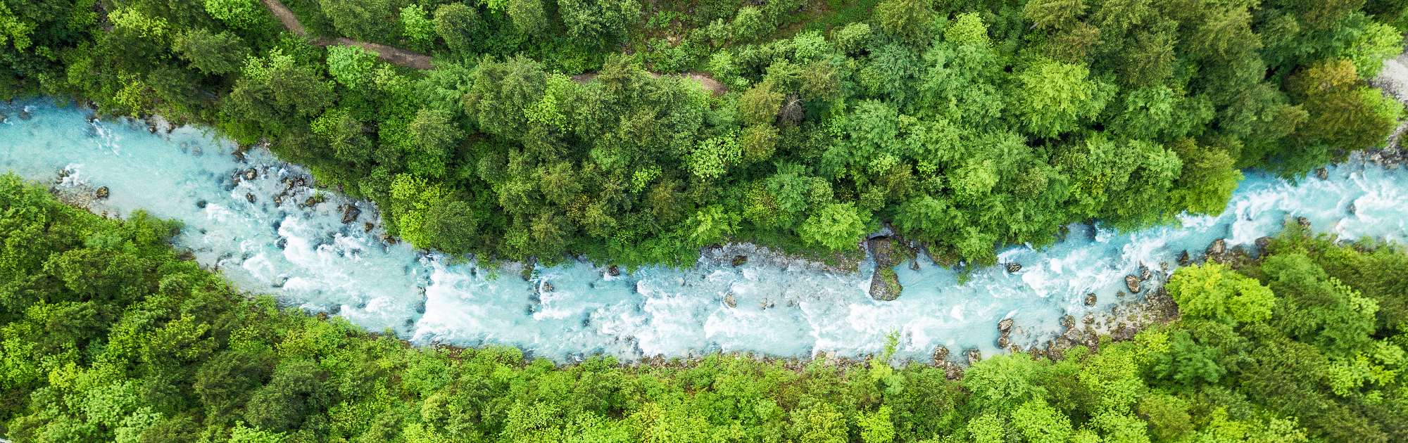 birds eye view of river in a forest