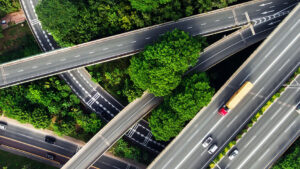 A motorway with trees growing around it.