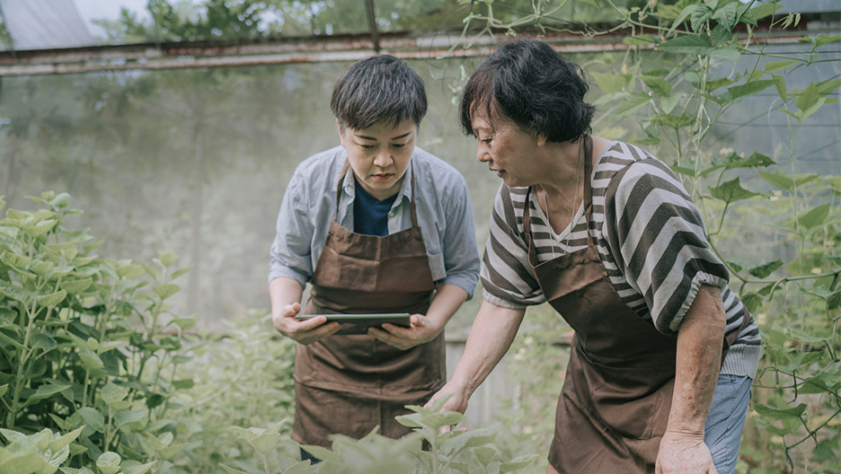 Two people survey crops using an iPad.