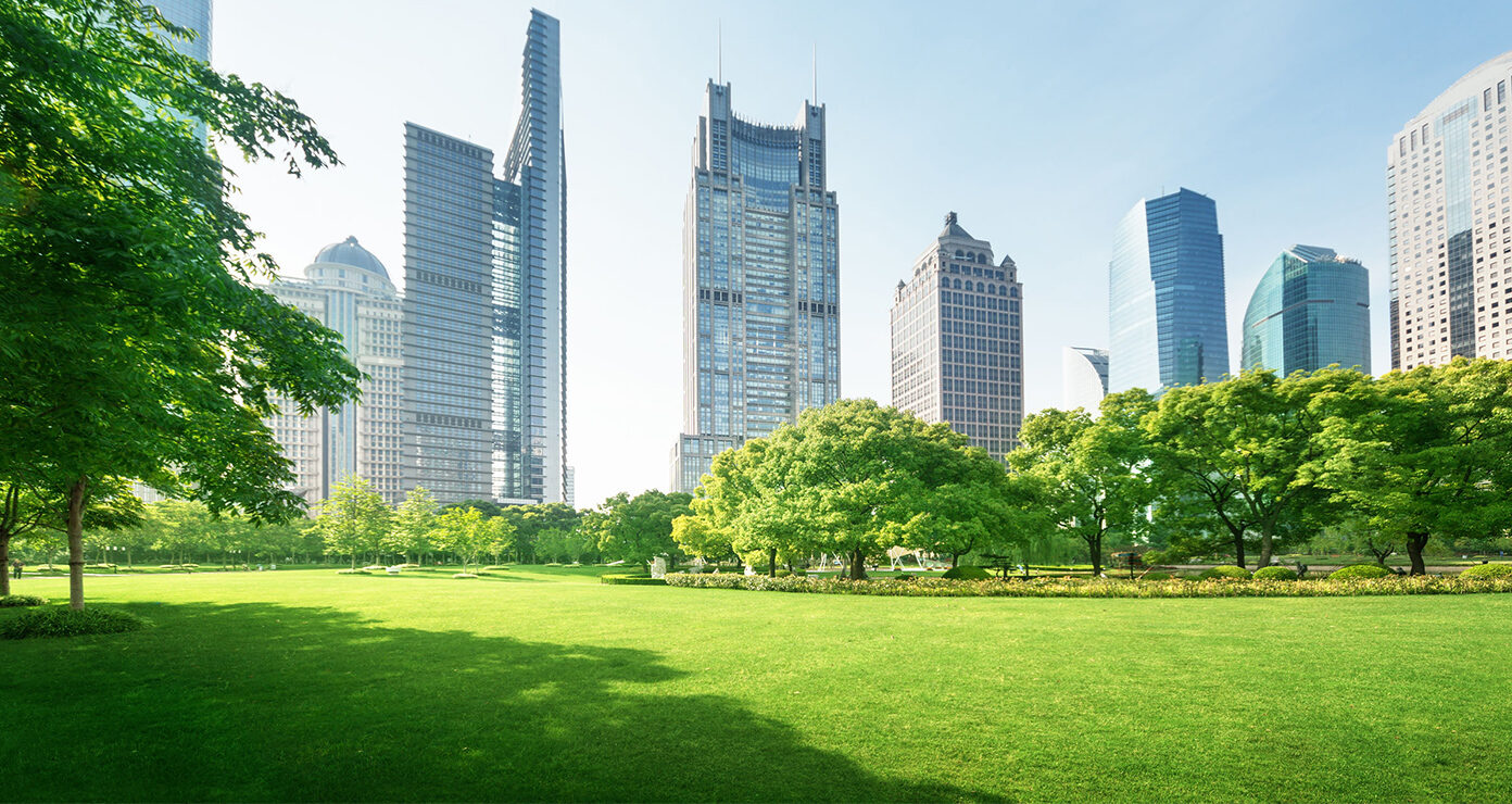 Skyscrapers amidst greenery depicting businesses going green