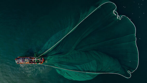 A fishing boat uses nets.