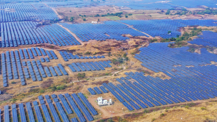 CCIB solar farm India case study