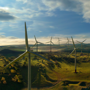 Wind turbines in a field