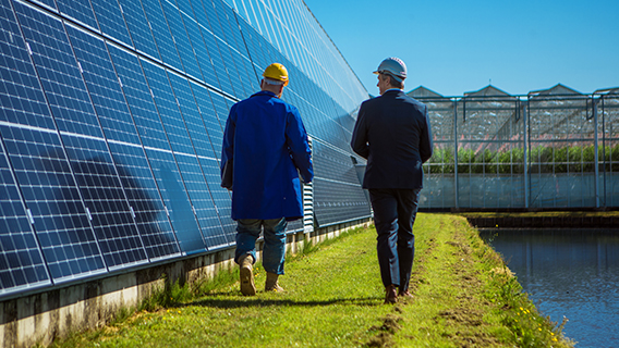 two men on solar farm