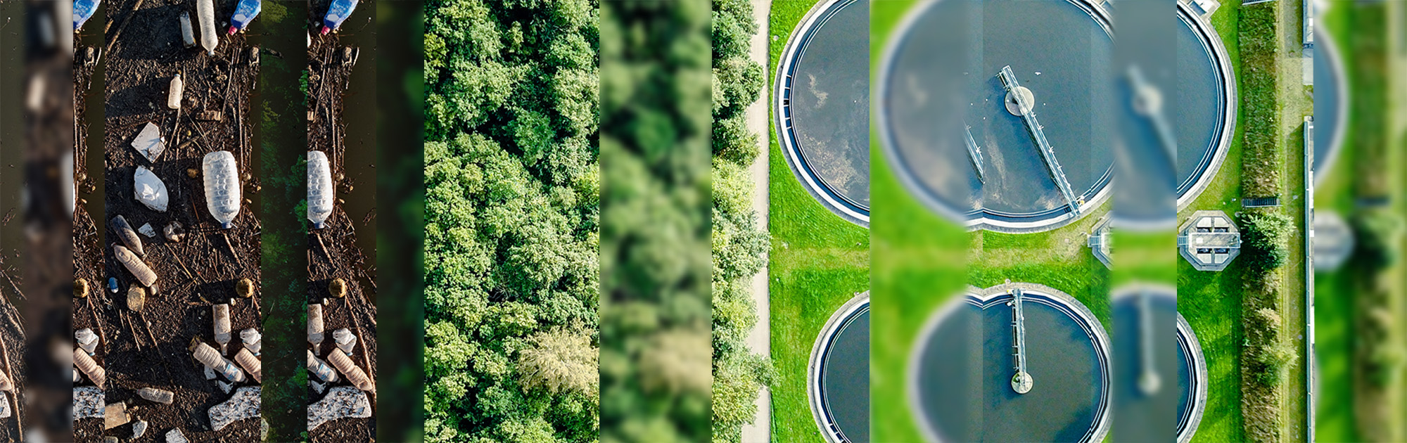 Transition to being more sustainable