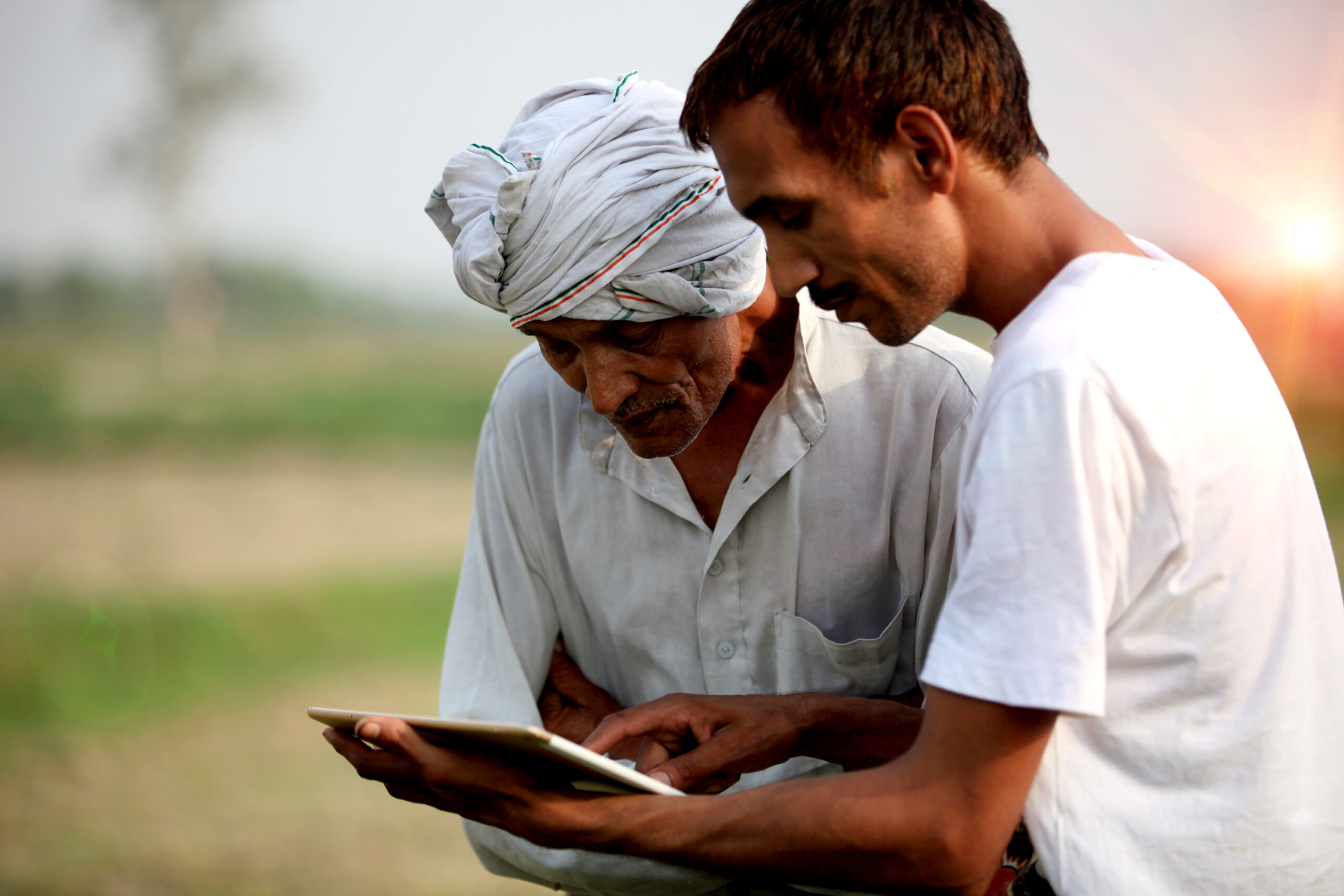 Farmers check their crops and review an Ipad