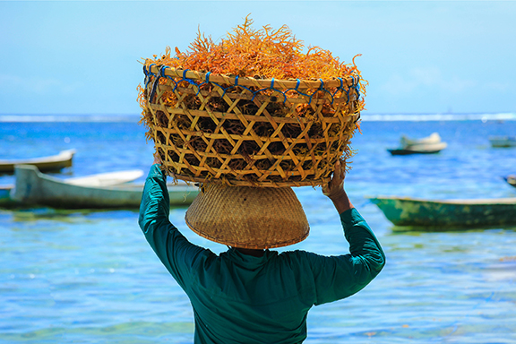 woman with a basket