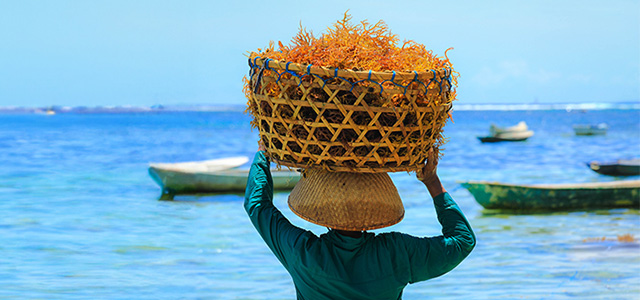 woman with a basket