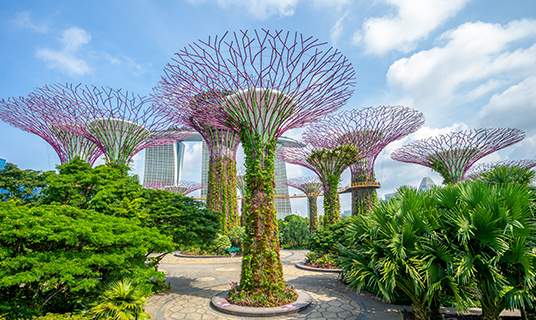 The sky garden in Singapore.