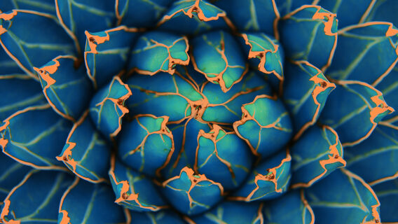 An abstract green pattern showcasing plants