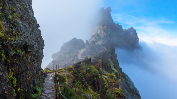 SC Global Research image of walk way in high mountains surrounded by clouds