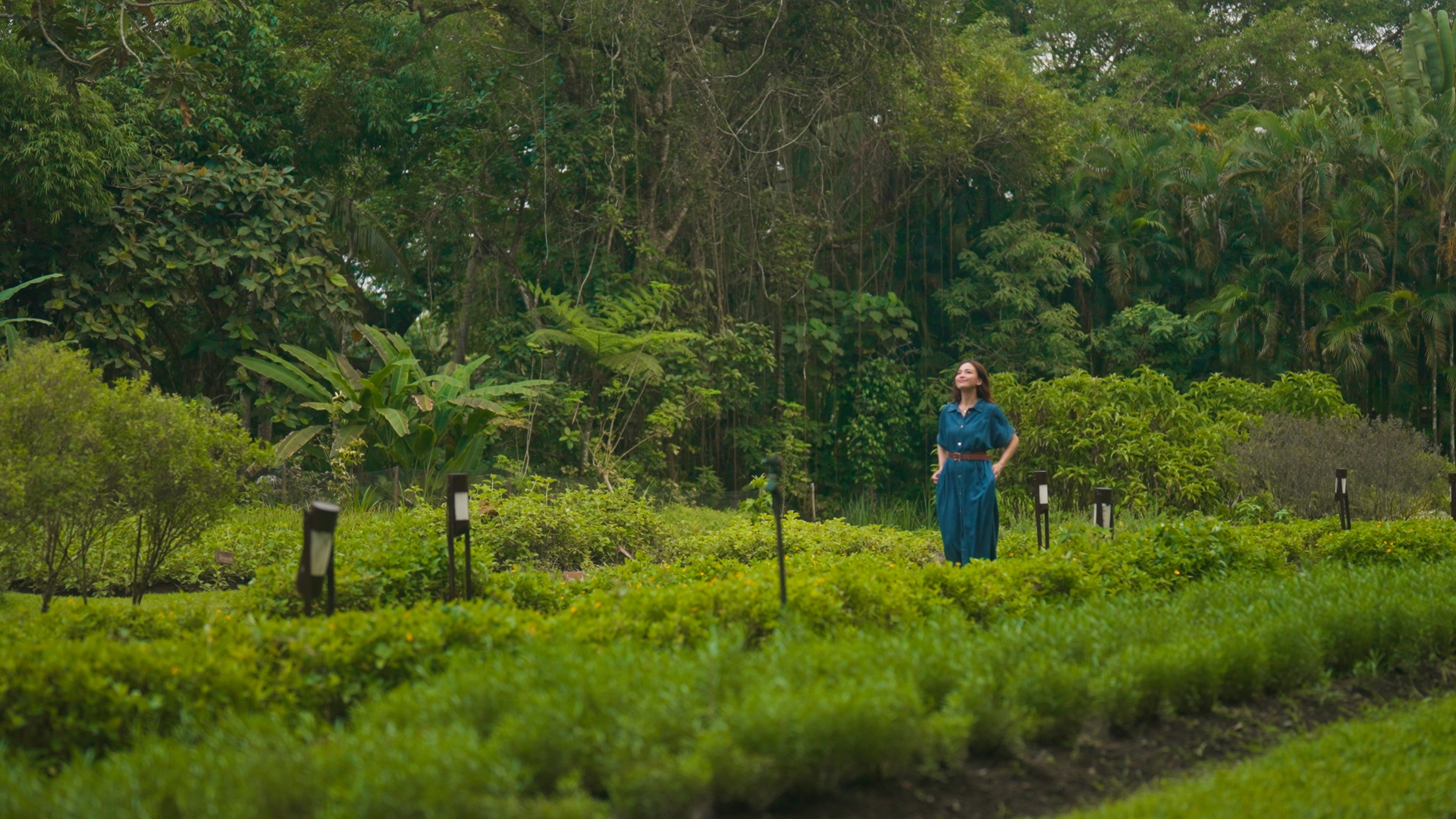 girl wearing blue dress in open field