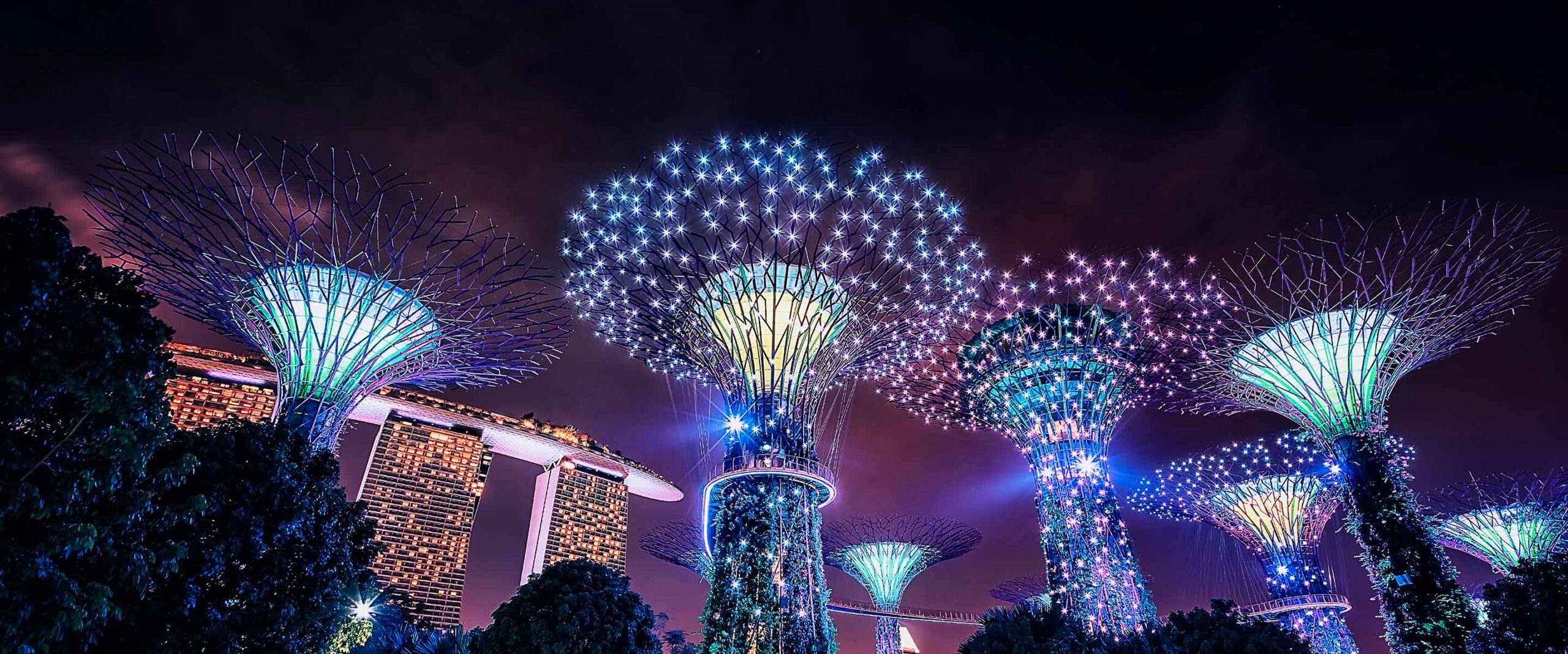 A photo of the Gardens by the Bay in Singapore.