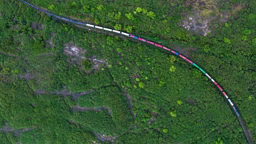 A train passes through a forest, loaded with shipping containers.