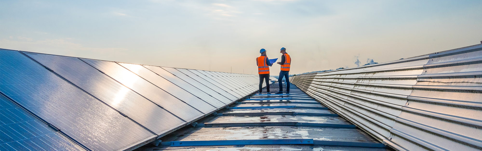 Two workers in a solar field