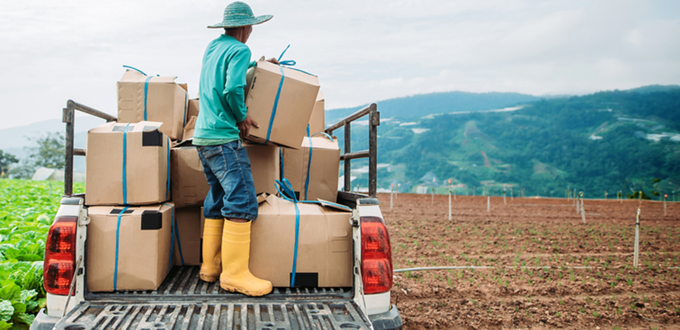 Man holding carton boxes standing on a truck