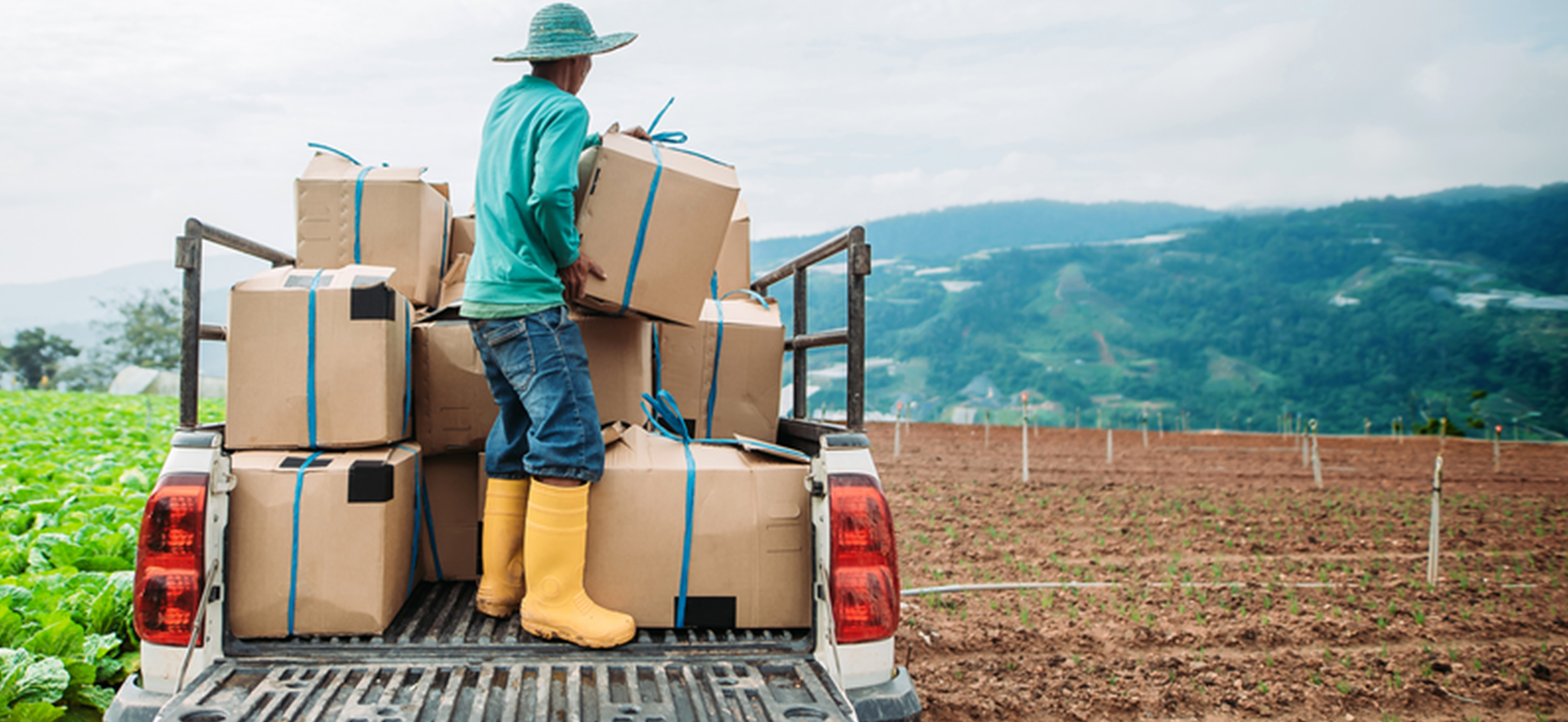 Man holding carton boxes standing on a truck