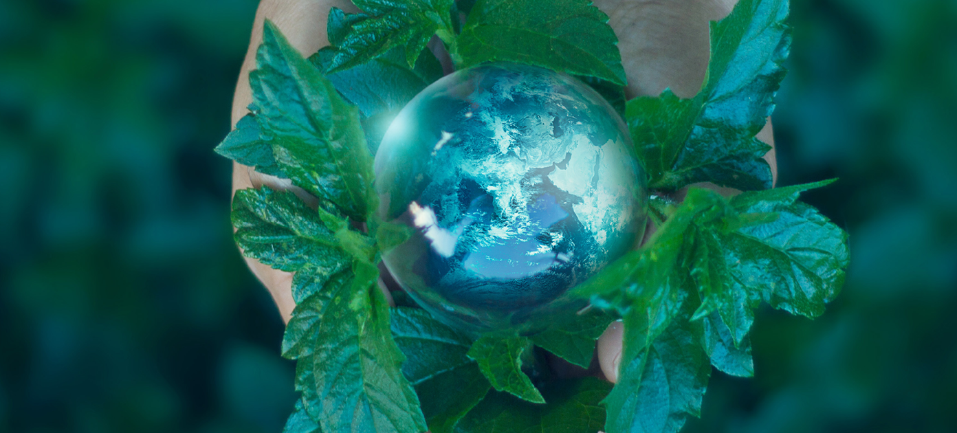 Glass sphere nestled in leaves