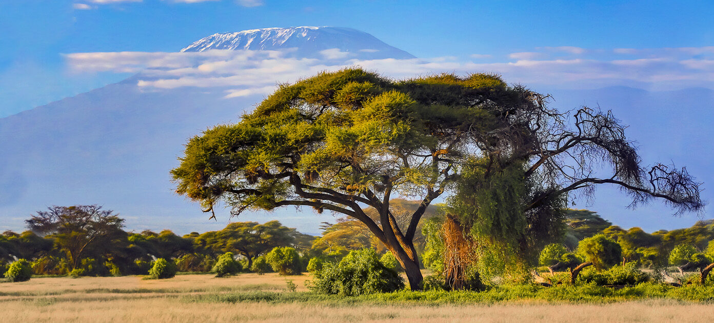 Africa landscape