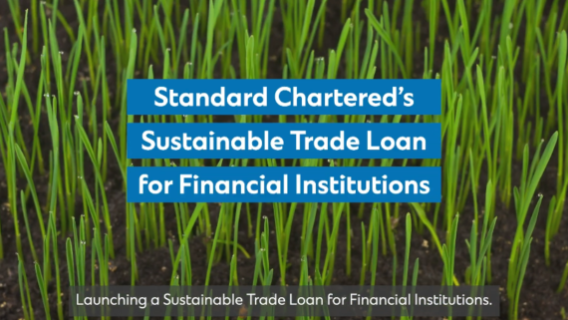 ccib-tb-stf-Sustainable-Trade-Loan-for-Financial-Institutions-video-cover