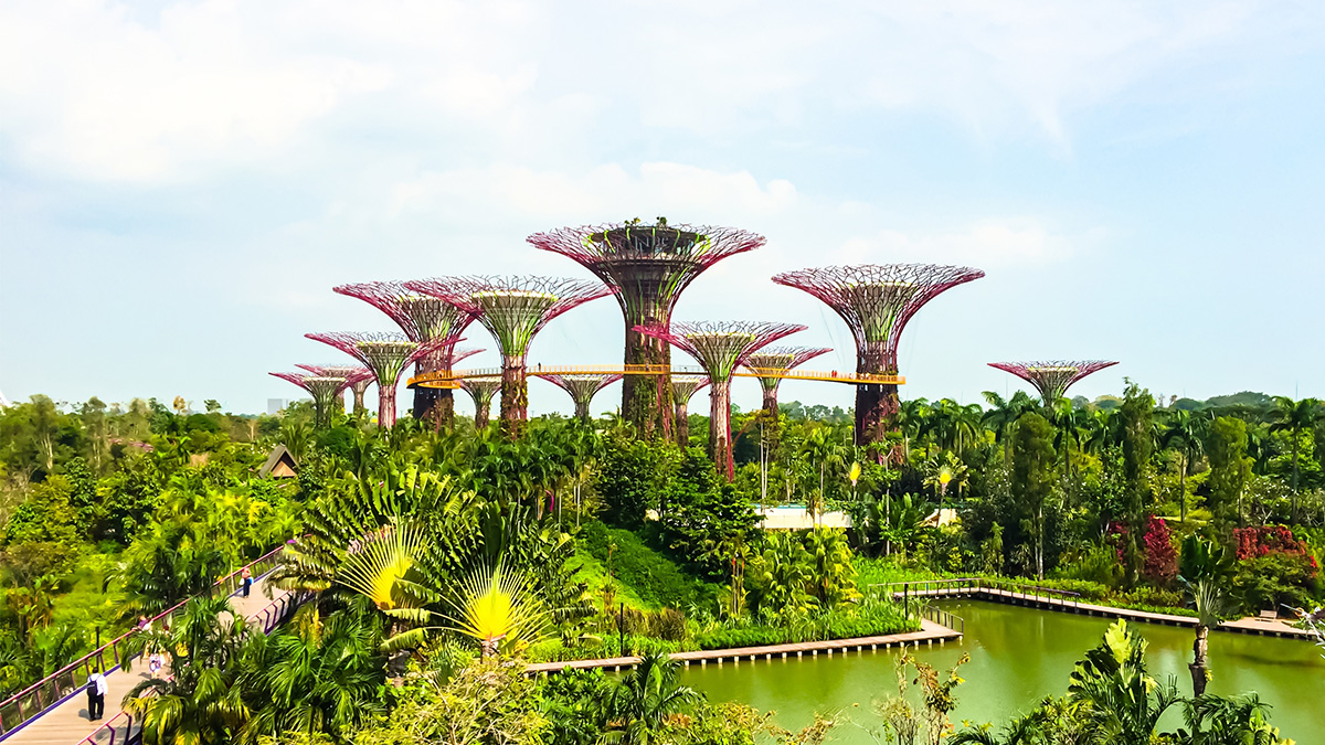 Picture of Supertrees at the Gardens by Bay in Singapore