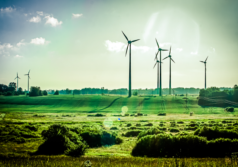 wind farm